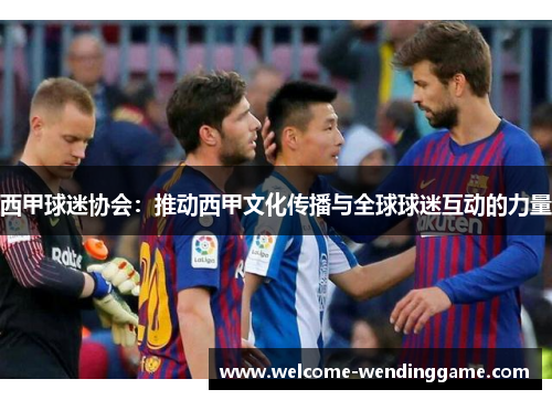 西甲球迷协会：推动西甲文化传播与全球球迷互动的力量