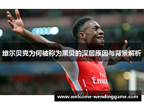 维尔贝克为何被称为黑贝的深层原因与背景解析