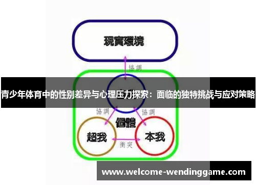 青少年体育中的性别差异与心理压力探索：面临的独特挑战与应对策略