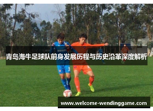 青岛海牛足球队前身发展历程与历史沿革深度解析
