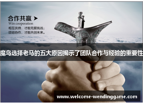 魔鸟选择老马的五大原因揭示了团队合作与经验的重要性