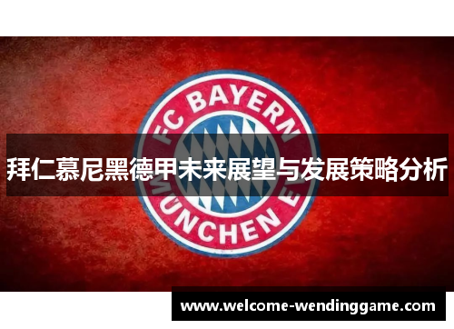 拜仁慕尼黑德甲未来展望与发展策略分析