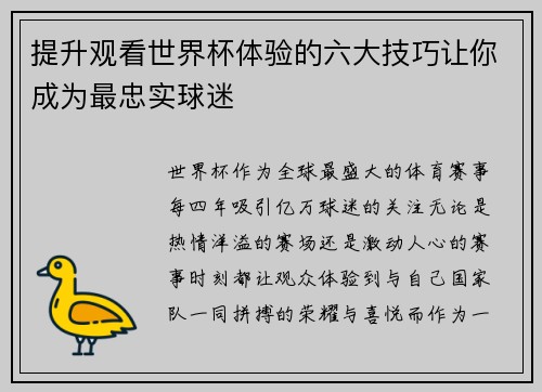 提升观看世界杯体验的六大技巧让你成为最忠实球迷